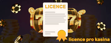 Nová kasina Jak si vybrat to pravé pro vás